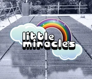 Little Miracles logo on solar panels